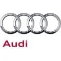 1x Hohlschraube für Ölzulaufleitung Turbolader AUDI VW SEAT SKODA 13 AUDI